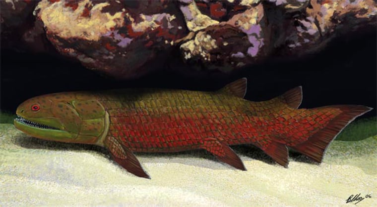 Artist interpretation of the Gogonasus fish in a tropical reef. Credit: Museum Victoria