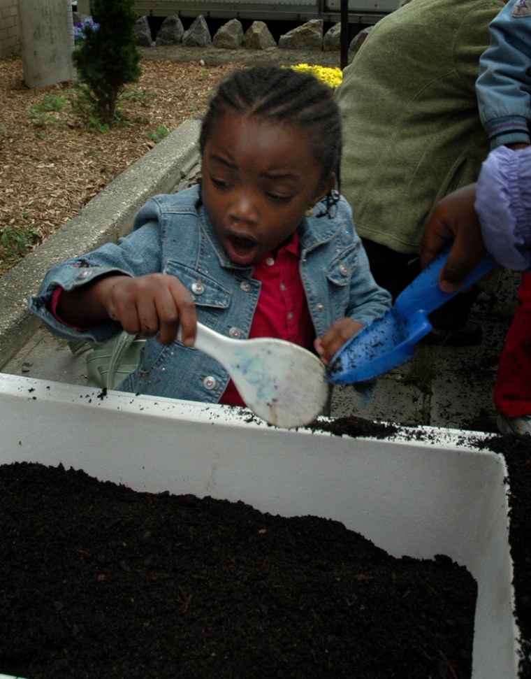 Photo caption: Dominique Mirabile, a four-year-old Pre-K student, plants bulbs in the Wakefield, Bronx neighborhood. Photo: NBC News CHRIS CATROPA