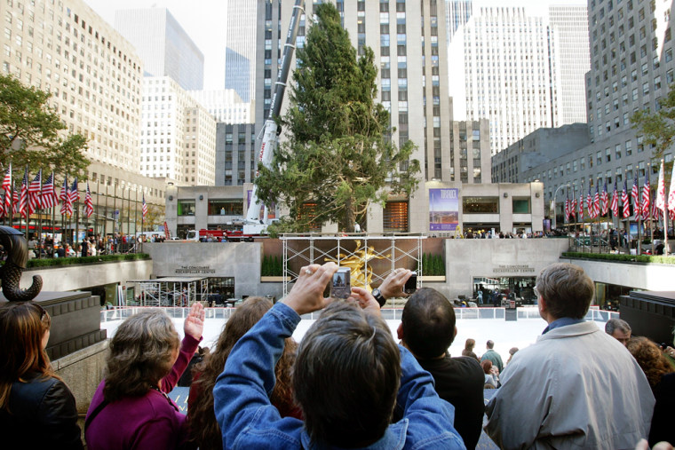 Christmas Tree Installed At Rockefeller Center