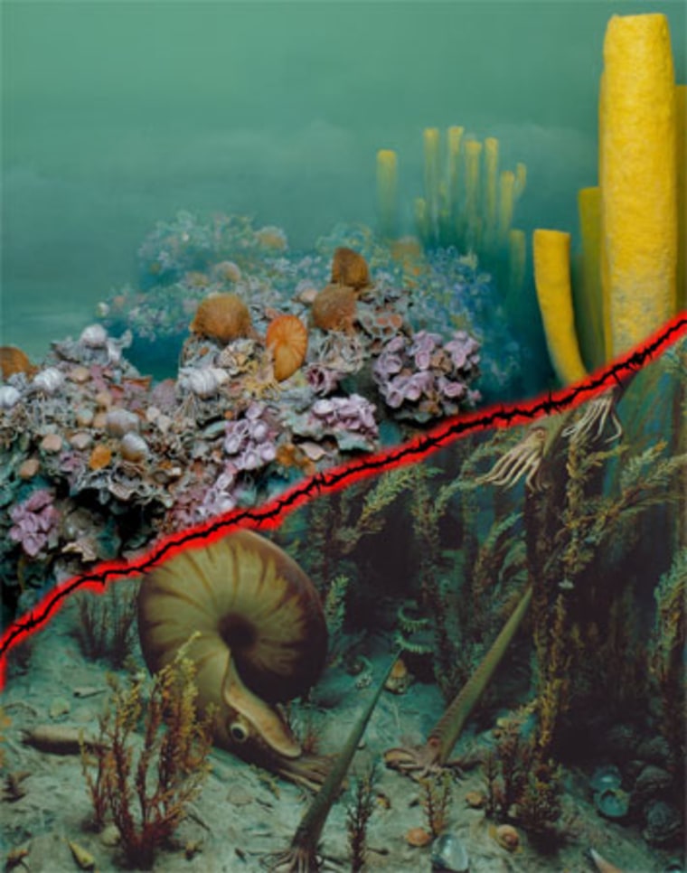 A mass extinction 250 million years ago dramatically changed the marine ecological structure. The upper portion represents marine life before the mass extinction, and the lower portion shows marine life after the extinction. Credit: 