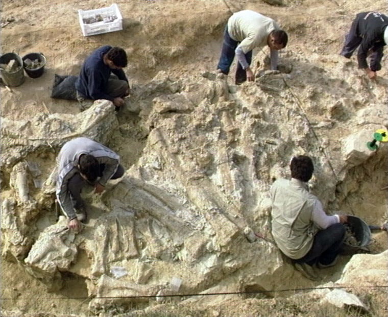 Paleontologists excavate fossils at the Spanish dig.
