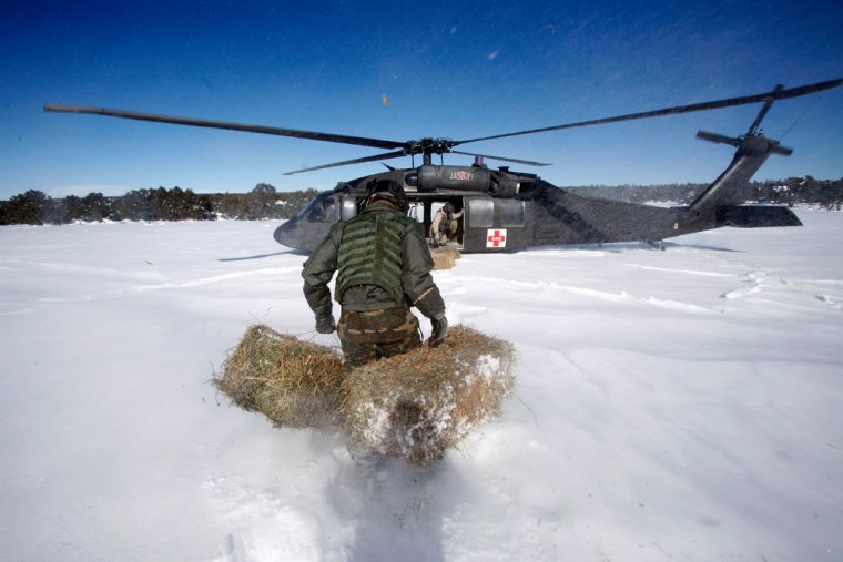 New Mexico National Guard First Sgt. Rob Farris carries hay bales through thigh-deep snow to a waiting Black Hawk helicopter in Clines Corners, N.M., on Wednesday. The bales would later be dropped to help feed stranded cattle.