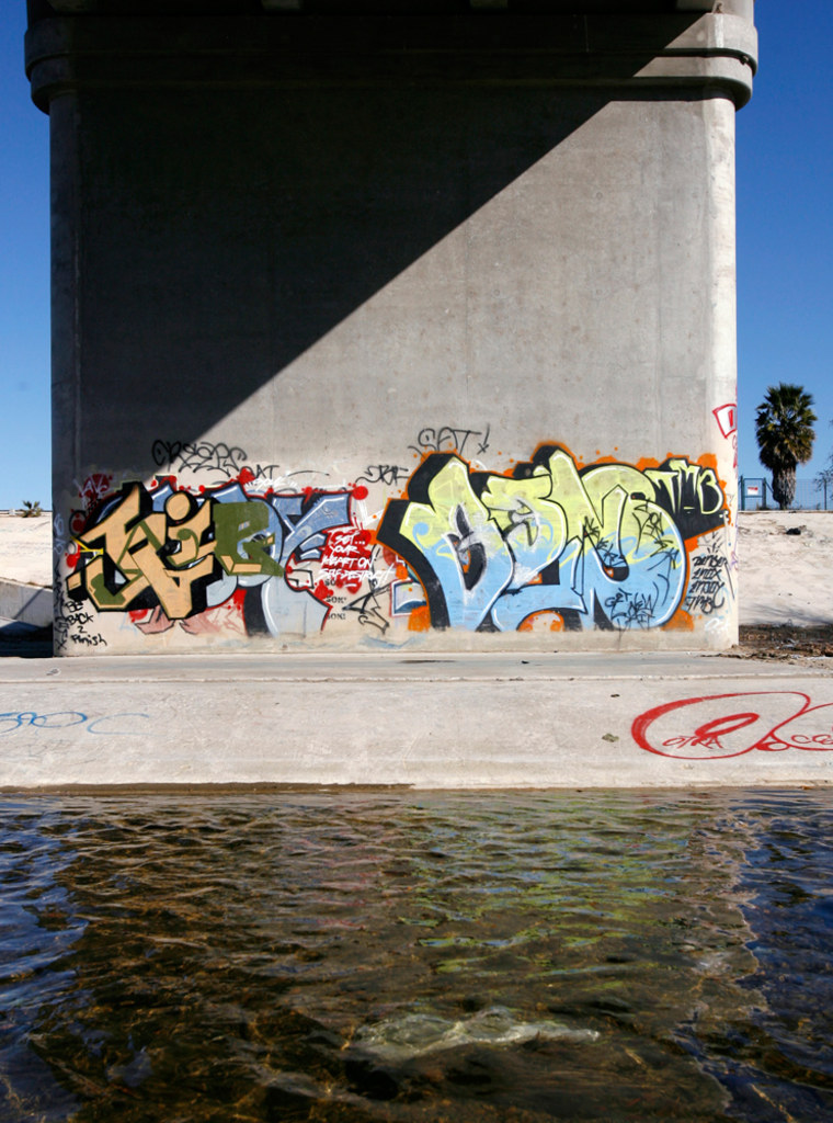 Graffiti decorates an elevated metro rail structure along a portion of the Los Angeles River Sunday, Jan. 21, 2007, in the Encino section of Los Angeles. The concrete flood-control channel that passes as the Los Angeles River has been the site of gang shootings and Hollywood car chases. But next up could be its most improbable role yet _ federal wildlife sanctuary.Conservationists want to apply for millions of federal dollars, use the money to buy up land along the 51-mile urban waterway, and then destroy some of what man has built to get back to nature. (AP Photo/Ric Francis)