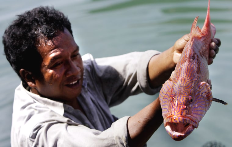 Fisherman shows reef fish