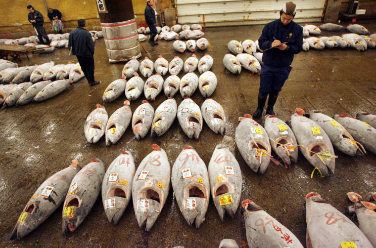 Bidders attend an early morning tuna auction at the Tsukiji fish market in Tokyo on Friday.