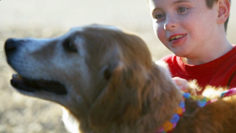 Jacob Barczewski, 8, gets a close look Friday at his family’s golden retriever, Cujo, which had been missing for six years.
