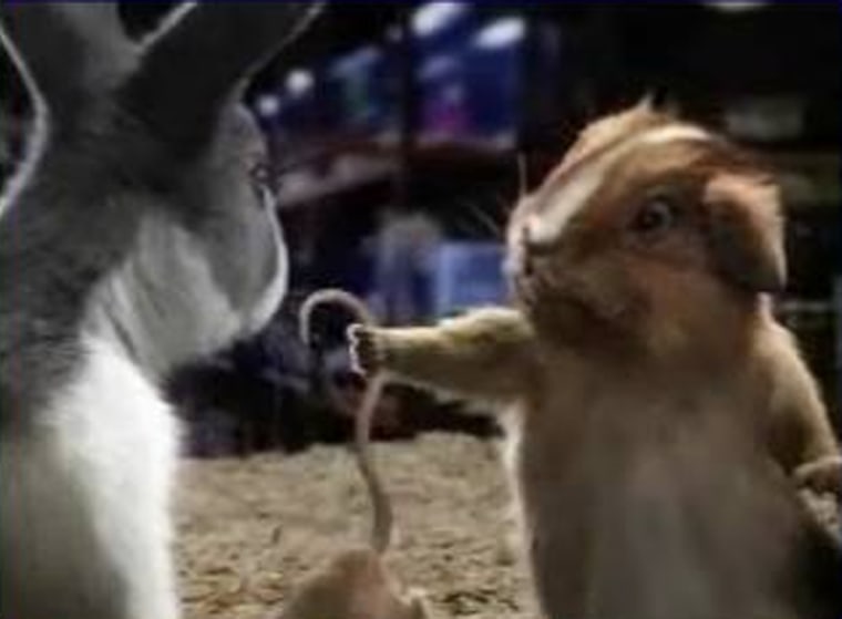 Blockbuster's "Mouse Click" ad featuring Carl the rabbit, Ray the guinea pig and a hapless, nameless mouse, was ranked No. 1 in MSNBC.com's reader survey.