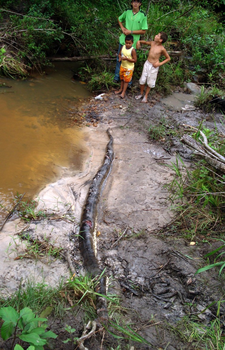 Children look at a dead anaconda that attacked an 8-year old boy in the city of Cosmorama, northwest of Sao Paulo, Brazil, on Wednesday.