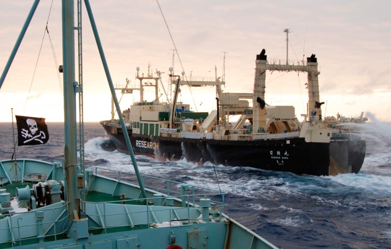 Japanese whaling ship the Nisshin Maru is seen being shadowed in the Southern Ocean