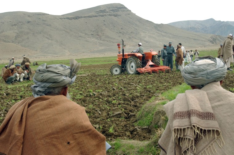 Afghan farmers watch as the police destroy a poppy field with a tractor near Jalalabad, Afghanistan on Thursday, Feb. 22, 2007. After a miserable failure last year, the Afghan government has launched a renewed drive to nip its rampant poppy cultivation in the bud, particularly in Helmand province _ which accounted for 42 percent of the 2006's record-breaking crop of 6,100 metric tons (6,725 tons). (AP Photo/Rahmat Gul)