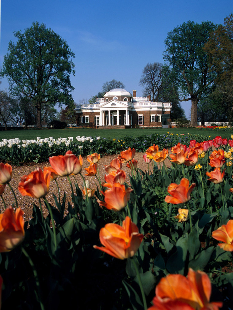 Tulips grow in the one of the gardens at Monticello in Charlottesville, Va.