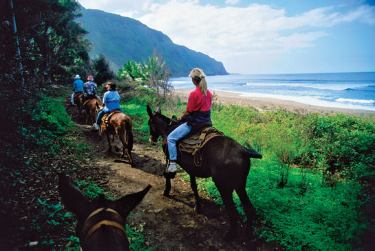 Walk or hire a mule to take you to the settlement of Kalaupapa on Molokai's north shore. Once home to a leper colony, today you can tour the area, visit St. Philomena Church and see how the handful of remaining residents live at the foot of the world’s highest sea cliffs.