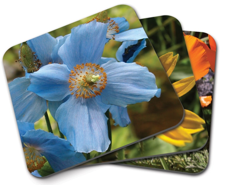 Shutterfly lets consumers turn their photos into  personalized coasters. 