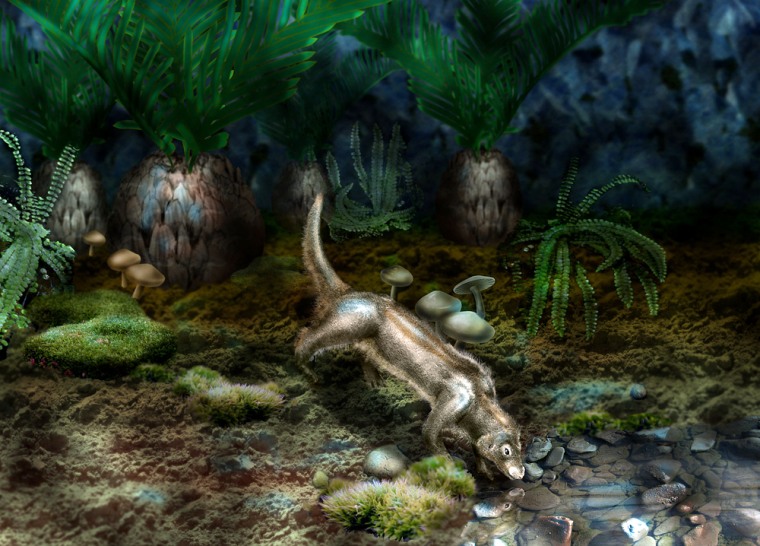 Scientists have found the 125-million-year-old fossil of a mammal in China called Yanoconodon. This artist's representation shows what the creature might have looked like.