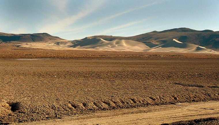 The 600-foot tall Sand Mountain, about 75 miles east of Reno, Nev., is the home of the Sand Mountain blue butterfly.