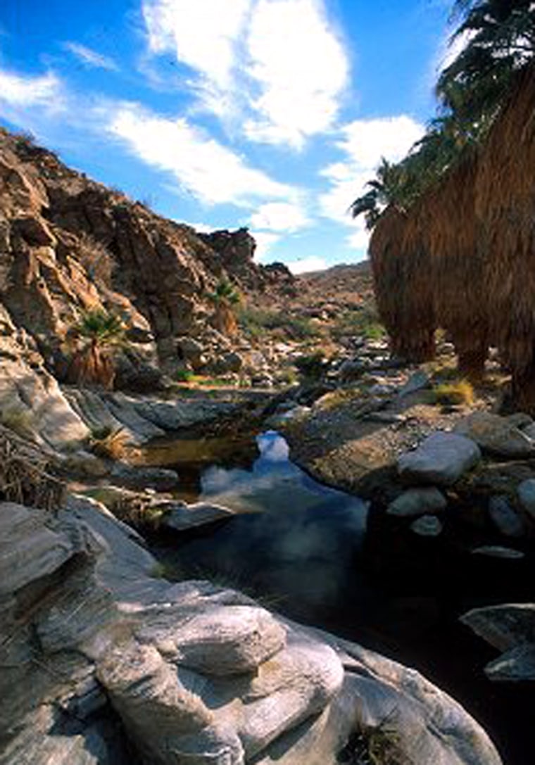This is the perfect time of year to enjoy anhike in the Indian Canyons.