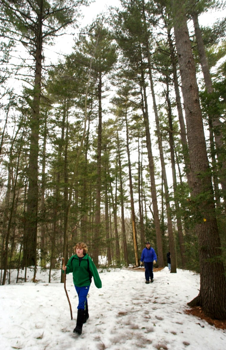 Hikers Joey Ferreli, 11, front, and his father, Jody Ferrelli, both of Sudbury, Mass., make their way along a trail in Mount Misery park in Lincoln, Mass., on March 10. Though not as well known as Walden Woods, the 227-acre swath of land next to the Sudbury River was one of author Henry David Thoreau's favorite places to take his rambling hikes. 