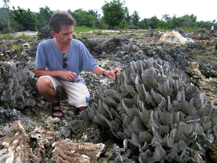 Dr Stuart Cambell from Wildlife Conservation Society examines exposed coral in Indonesia's Simeulue Island