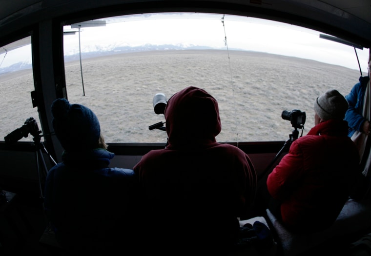 ** FOR IMMEDIATE RELEASE **Bird watchers sit bundled up against sub-freezing temperatures to get a look at the mating ritual of the greater sage grouse in a blind near the North Park community of Walden, Colo., April 21, 2007. Small communities like Walden in the interior West are turning to wildlife tours to drum up business in the communities. (AP Photo/David Zalubowski)