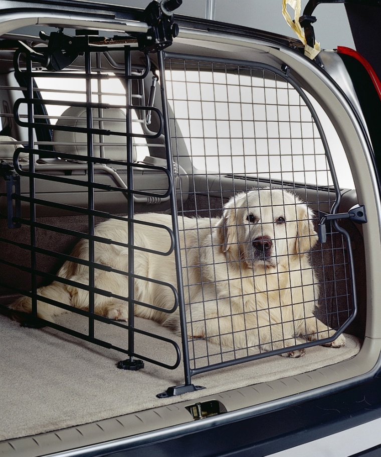 Why a Mini Van is the Best Dog-Mobile You'll Ever Own