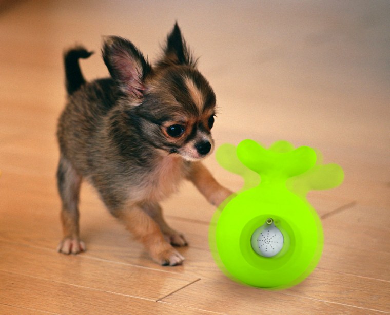 DOGMATIC PRODUCTS TECH-ENABLED PET TOY