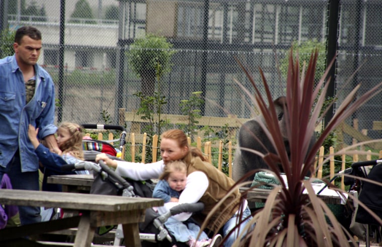 **  EDS NOTE DELETES REFERENCE TO \"SILVERBACK\"  **  People grab their children to take them to safety as escaped gorilla Bokito is seen, right, partially obscured by a plant, at Diergaarde Blijdorp zoo in Rotterdam, Netherlands, Friday May 18, 2007.  A gorilla escaped from an enclosure and injured two people Friday at a Rotterdam zoo, a police spokeswoman said. The Diergaarde Blijdorp zoo was evacuated and the gorilla was believed to have entered a building where he was being isolated, spokeswoman Yvette de Rave said. (AP Photo/Fam Schaar via Foto Roel Dijkstra) ** NETHERLANDS OUT **
