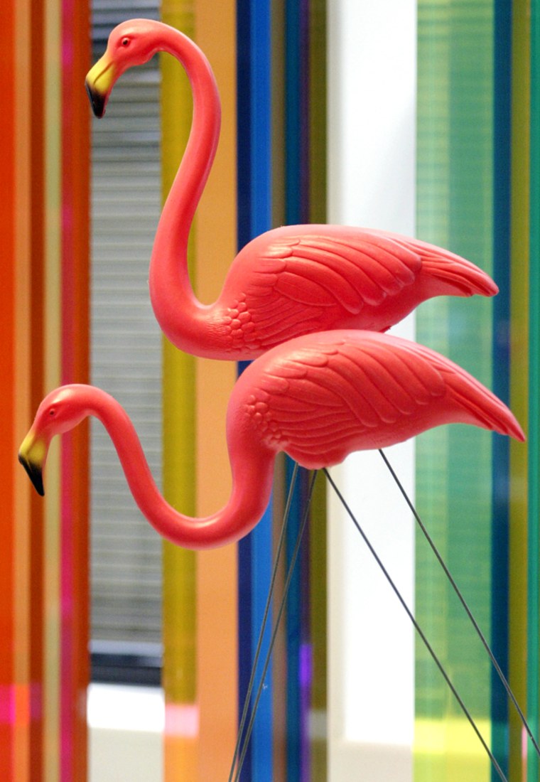 June 23: National Pink Flamingo Day 