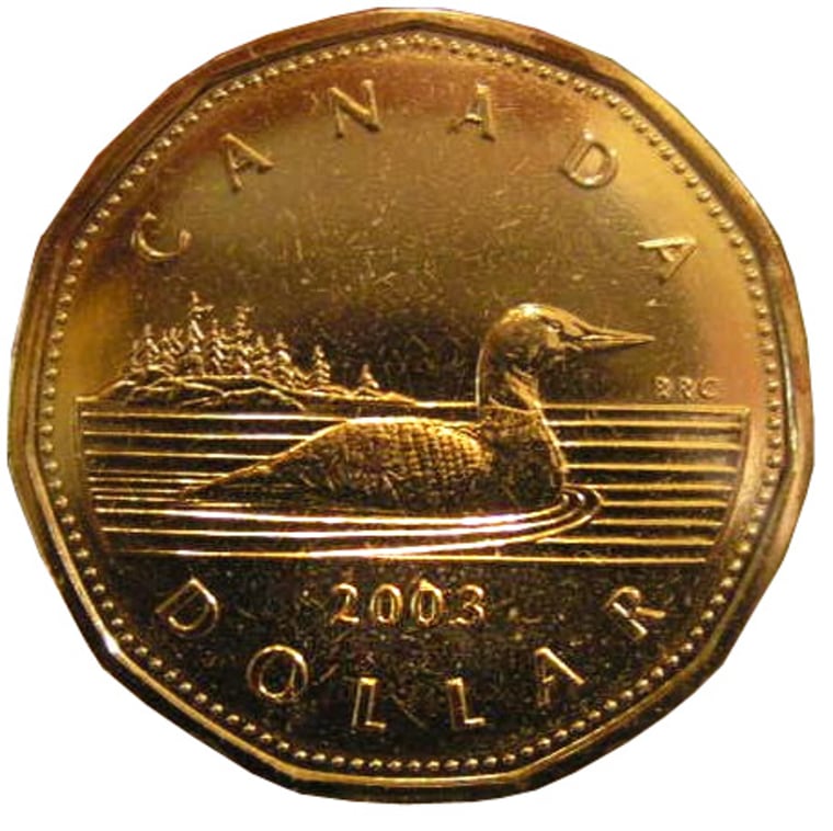 Known as the loonie because of the loon pictured on the $1 coin, the dollar traded at $94.18 cents in early afternoon trading — the highest it has been since July 1977.