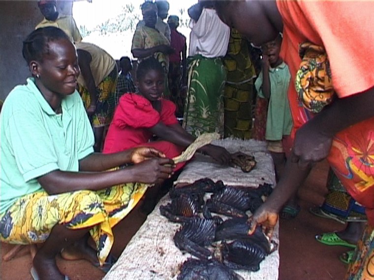 In this image made from video released by Karl Amman, a wildlife photographer and investigator into the illegal trade in animals, customers buy smoked elephant meat in a market in Bangui, in the Central African Republic, May 3, 2007. Most people believe international demand for ivory is the biggest threat to elephants. But while wildlife experts are meeting in the Netherlands through June 16 to discuss the ban on the ivory trade, forest elephants, perhaps the most endangered elephant species in the world, are being hunted to extinction not only for their tusks, but for their meat. (AP Photo/Courtesy Karl Amman) **   MANDATORY CREDIT. NO SALES. NO ARCHIVES AFTER JUNE 30 2007 **