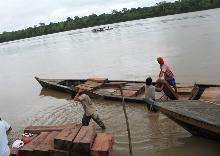 Unidentified men load a boat with illegally logged timber, of the species shihuahuaco or cumaru, along the riverbank of Madre de Dios river, Peru, on this November 2006 file photo provided by National Association of Amazon Indians in Peru (AIDESEP). Conservationists say illegal logging threatens the commercial survival of valuable timber species. Locals say it also endangers Indian people _ and the survival of primitive tribes who avoid all contact with other humans.(AP Photo/AIDESEP/ Nils Hermann Ranum)