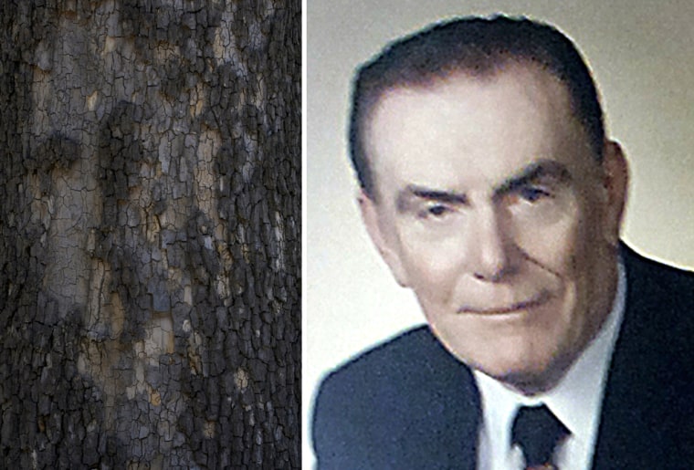 Some residents of Rosemont, Ill., say that the peeling bark on a sycamore tree, left, bears the eerie likeness of their former mayor, Donald Stephens.