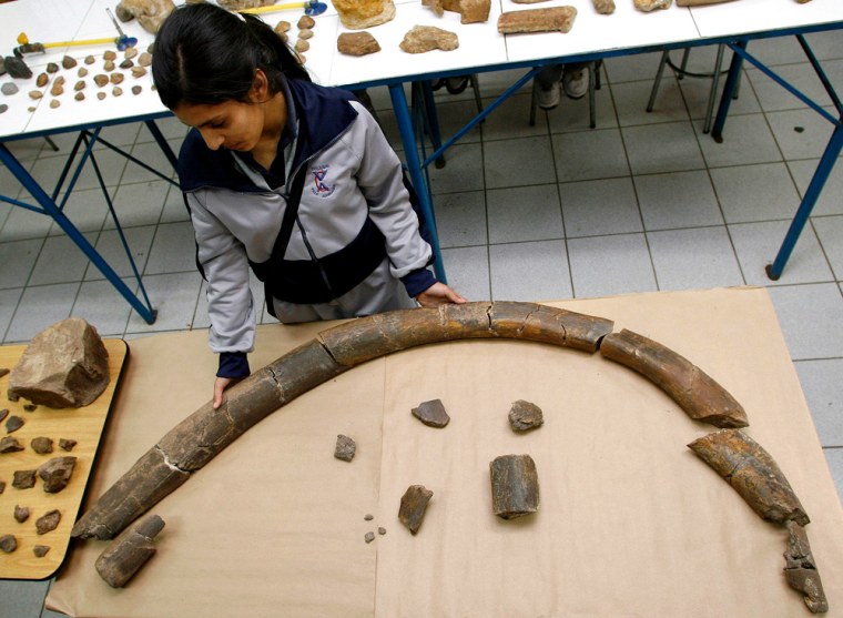 To match feature CHILE/WHALES