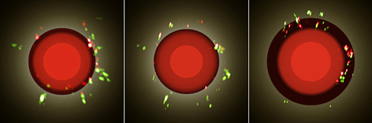 The different phases of the red star S Orionis. The red disc represents the stellar surface while the green shades represent the location of the dust shell. The first two images were obtained when the star shrunk to its stellar minimum; the third image is taken just after the star expanded to its maximum. 
