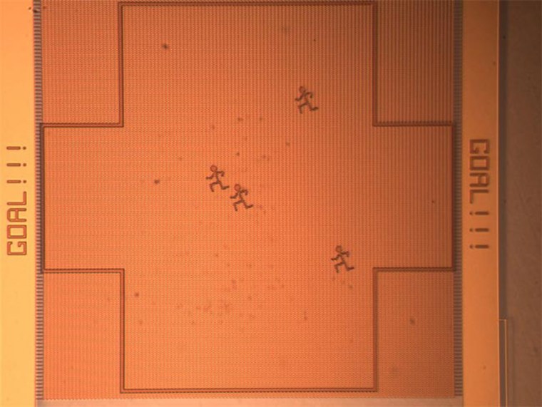 Photograph of a playing field for the nanogram robots. 