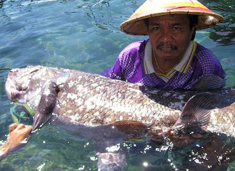 Zanzibar fishermen land ancient fish