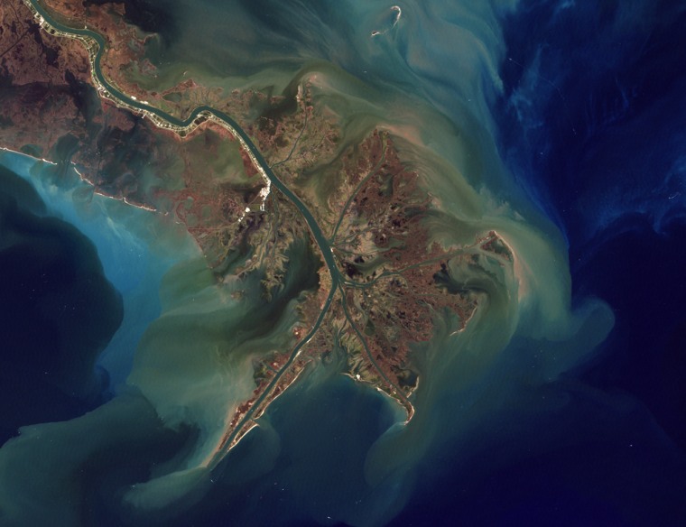 This 1999 NASA satellite image shows effluents deposited at the Mississippi River delta. Those deposits include topsoil as well as farm fertilizer runoff, which depletes the surrounding water of oxygen.