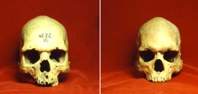 Scientists can't agree on where we came from. A new study says humanity arose in sub-Saharan Africa, represented by the Nigerian skull at left. The researchers compared African skulls with those from other regions including Australia, where the skull at right originated.