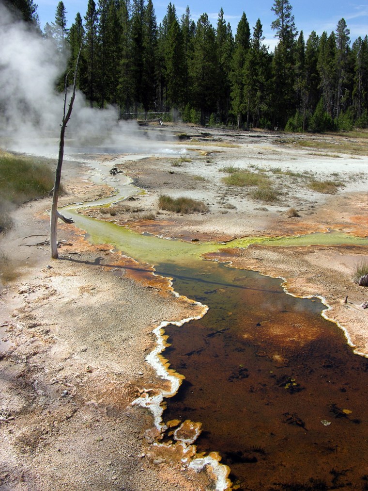 This undated handout photo provided by the journal Science shows  Effluent channel of Twin Butte Vista Spring, an alkaline siliceous hot spring in Yellow Stone National Park. The wonderland known as Yellowstone National Park has yielded a new marvel _ an unusual bacterium that converts light to energy. The discovery was made in a hot spring at the park, where colorful mats of microbes drift in the warmth. (AP Photo/Science, David M.Ward)