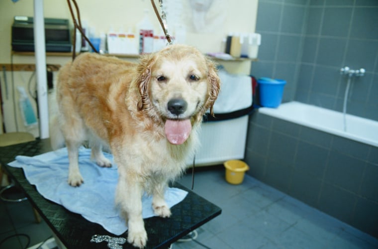 In-store grooming and other services have helped PetSmart Inc. add $450 million in additional sales this year.