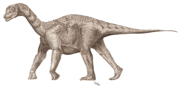 Bony scales on the back of the juvenile titanosaur illustrated here helped protect if from predators, researchers suggest. 