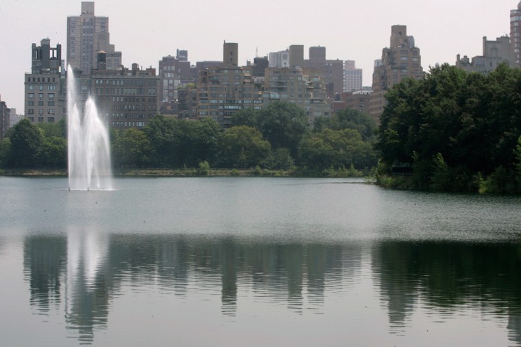 For only the fourth time in its history, a 90-year-old fountain that sprays up from the Central Park reservoir has been turned on.
