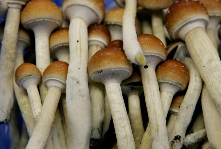 A Dutch campaign seeks to ban psychedelic fungi, which are sold legally at “smartshops” in the Netherlands as long as they’re fresh.