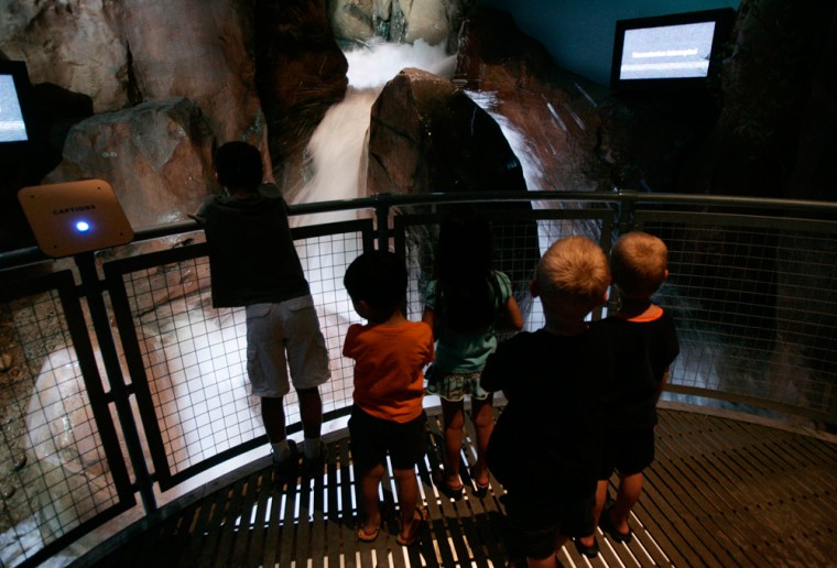 A group of children watch a flash flood exhibit at the Las Vegas Springs Preserve. The 180-acre facility opened in June after years of planning, an infusion of $250 million reaped from the sale of federal land around fast-growing Las Vegas.