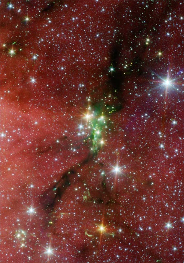 Spitzer Space Telescope unveiled a 50-membered star family, dubbed Serpens South. 