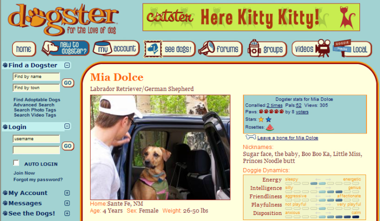Niche Web sites like dogster.com, pictured here, cater to people with a particular passion. Besides dogs, other sites lure those crazy for cats, motorcycles — and even sneakers.