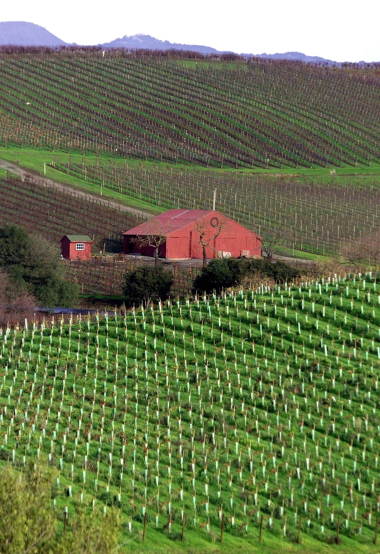 The Beckstoffer Vineyard, foreground, and Blue Creek vineyard, center, in the Carneros wine growing region are shown near Napa, Calif. For a town-and-country combo in this prime U.S. wine destination stay at the Napa River Inn.