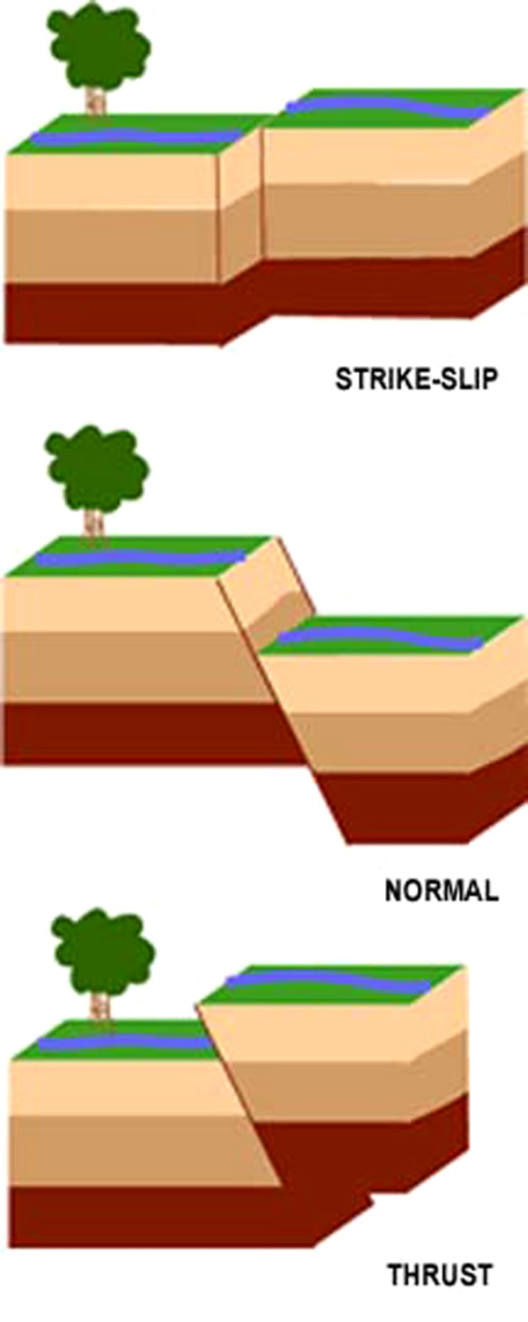 Strike-slip faults move horizontally. Normal and reverse faults involve vertical movement. Thrust faults involve angled vertical movement.