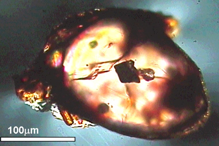 A transmission light image of Jack Hills zircons from Australia shows an angular diamond inclusion.