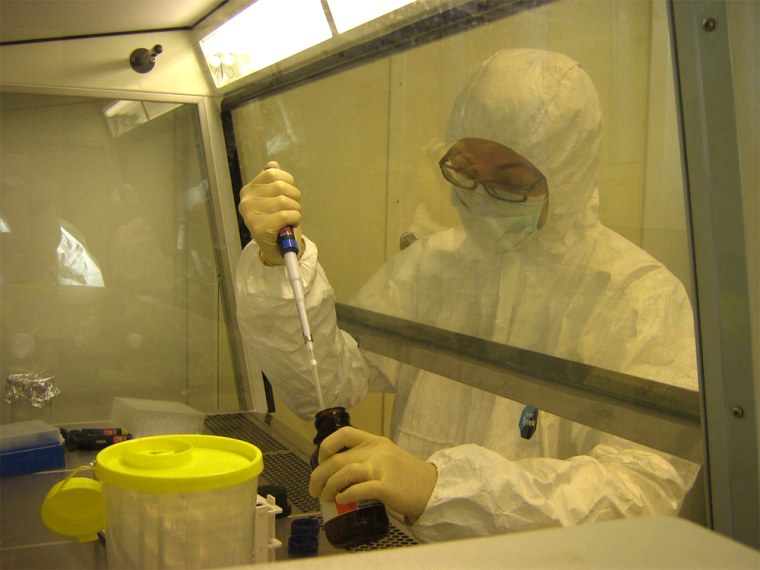 DNA analysis is performed in a Copenhagen clean lab. Due to the potential for modern contamination, ancient DNA must be handled carefully.