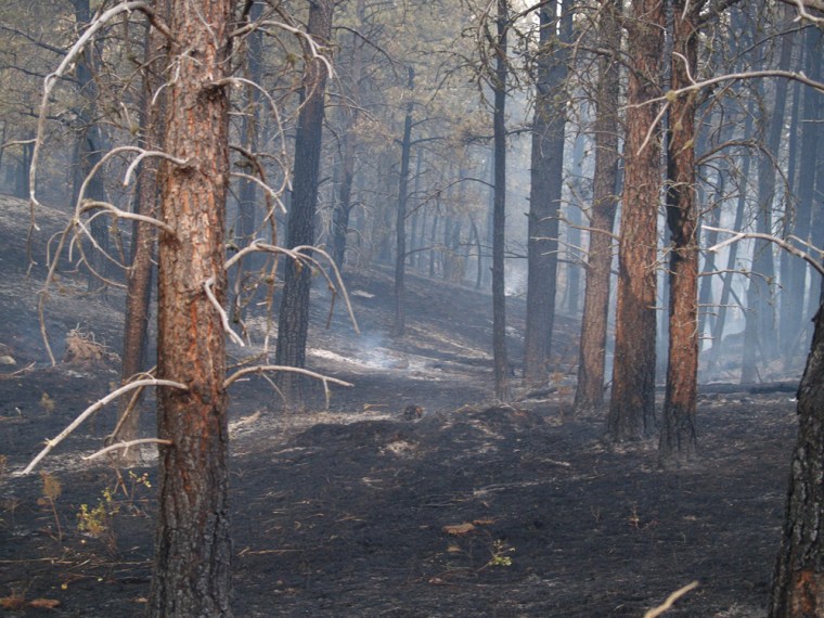 **FILE** A fire smolders in this July 8, 2007 file photo, near Hot Springs, S.D. Wildfires across the U.S. have scorched nearly 7 million acres of land this year, leaving exposed soil that's susceptible to erosion and mudslides. But entrepreneur Mike Krysiak believes he can help soil and vegetation recover faster using a simple solution that combines recycled-paper mulch and an organic powder.  (AP Photo/Joe Kafka, file)